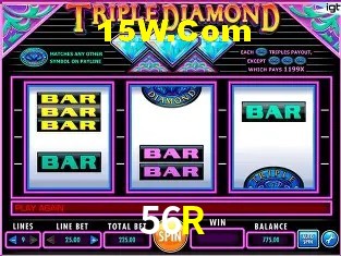 Security Systems 56R